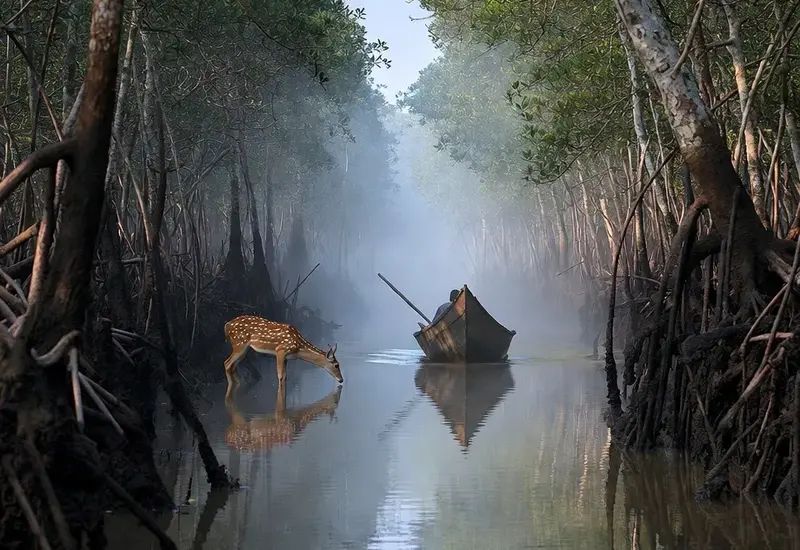5 Best Places to Visit in Bangladesh 2026