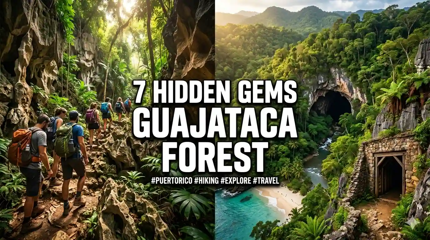 7 Hidden Gems in Guajataca Forest for Adventure Hikers