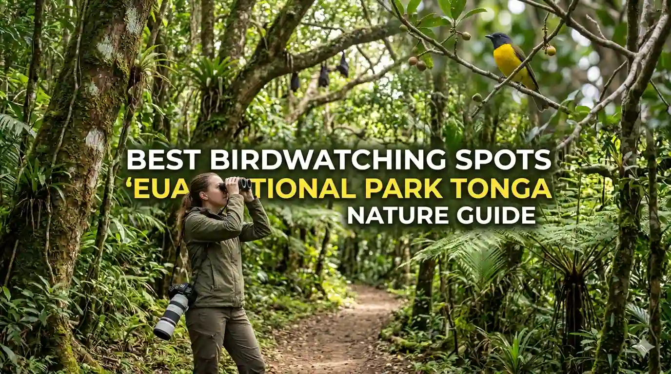 Best Birdwatching Spots 'Eua National Park Tonga Nature Guide