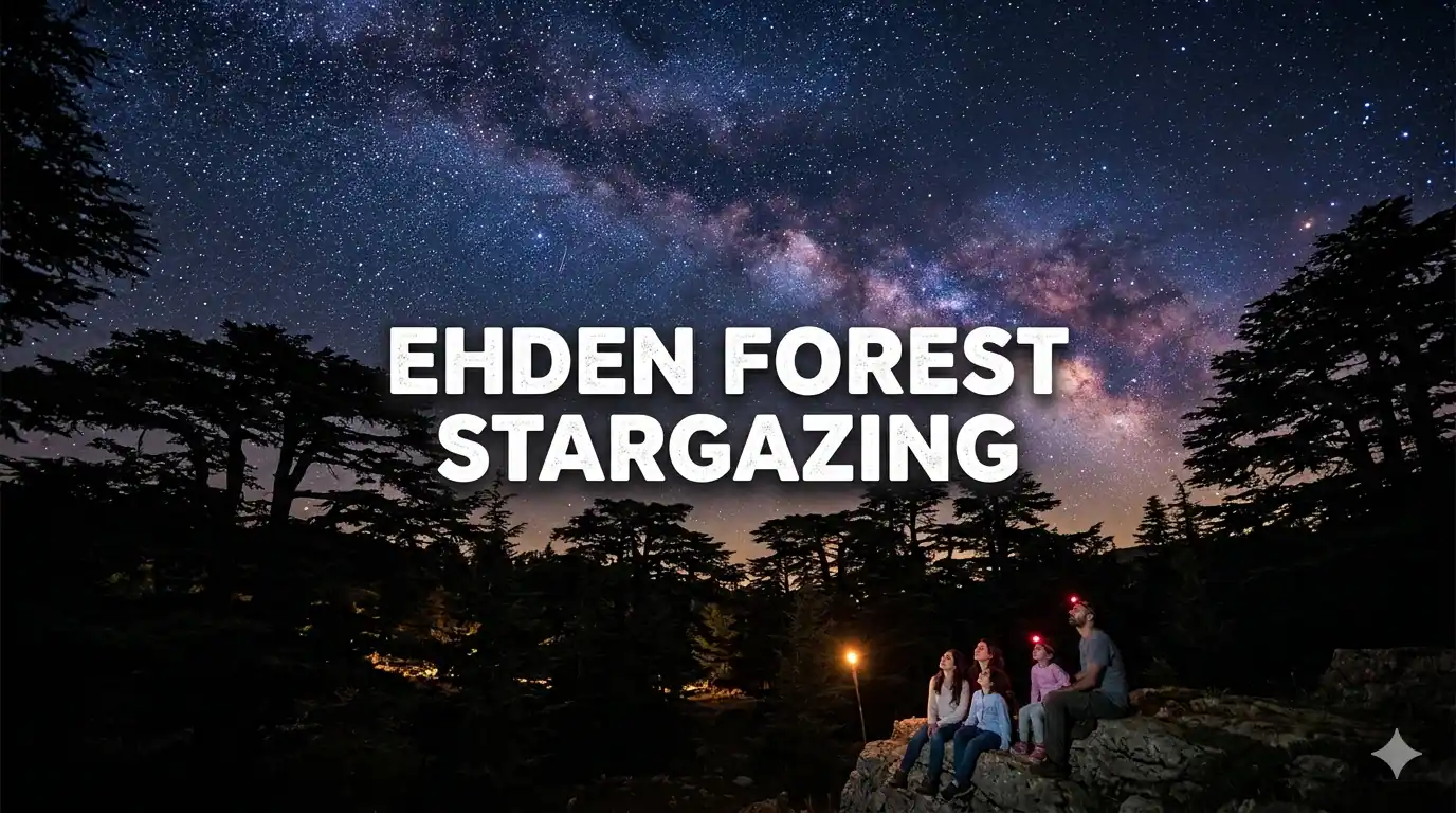 Pet Nest Lab - Best Stargazing Spots Ehden Forest Zero Light Pollution
