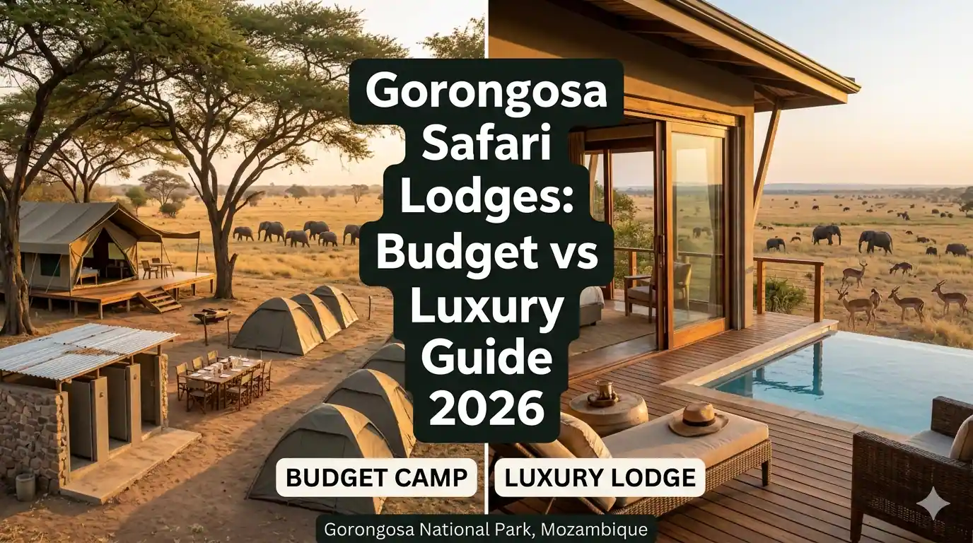 Pet Nest Lab - Budget vs Luxury Safari Lodges in Gorongosa National Park: Complete Comparison Guide 2026