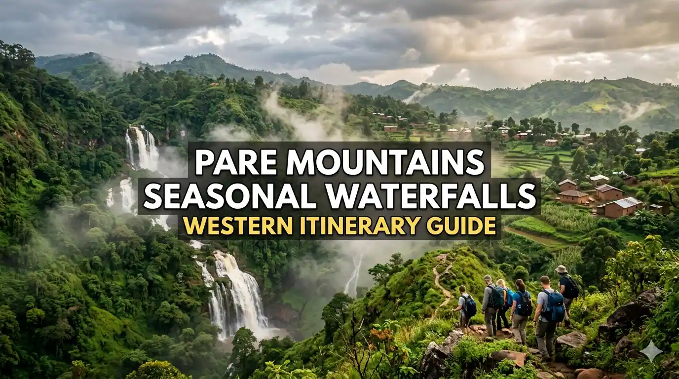 Pet Nest Lab - Exploring Seasonal Waterfalls of Pare Mountains Western Itinerary