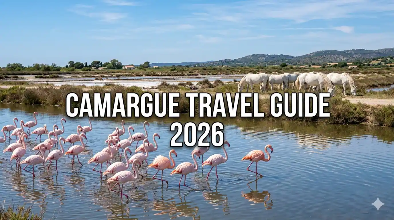 Exploring the Camargue Pink Flamingos White Horses and Salt Flats
