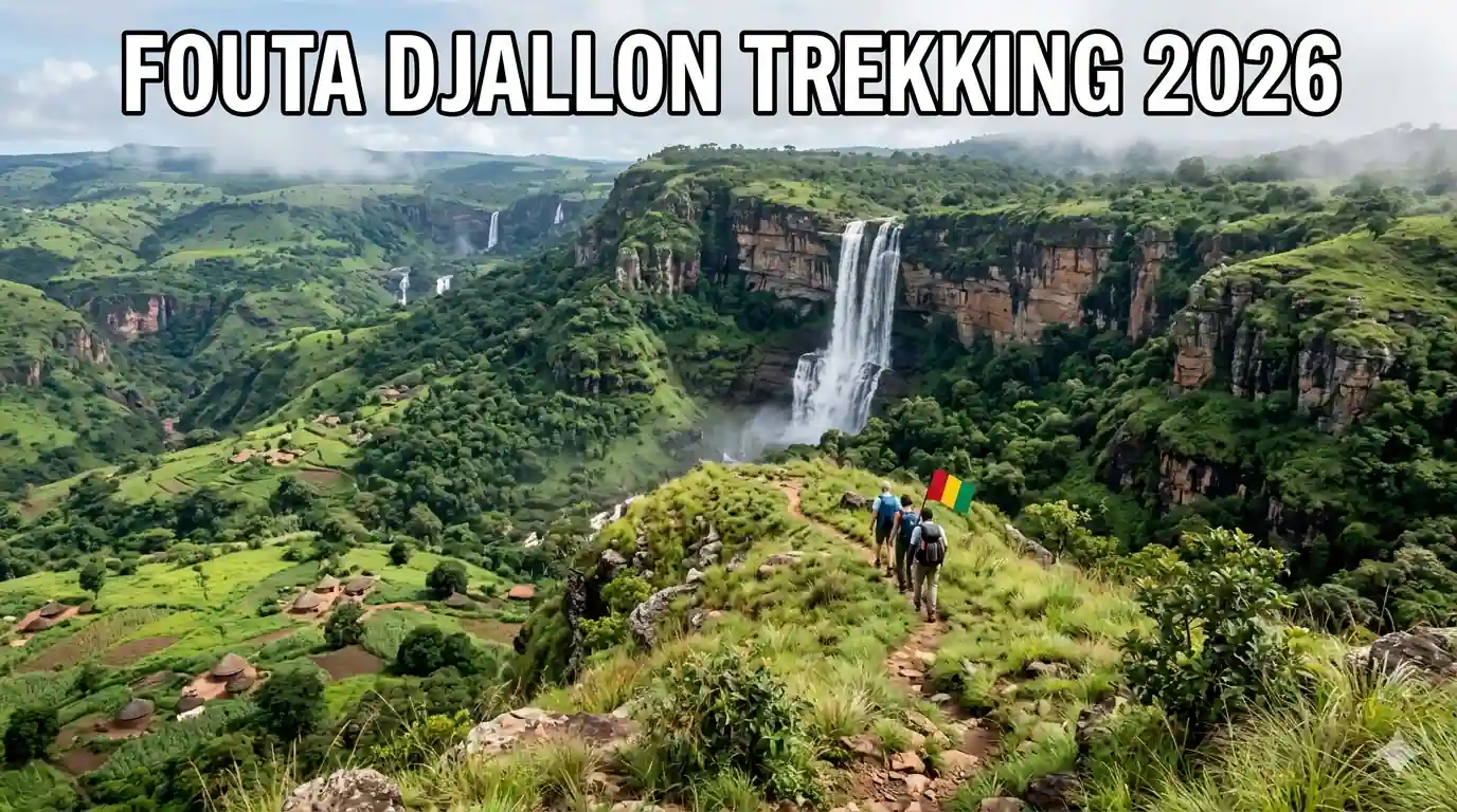 Pet Nest Lab - Fouta Djallon Trekking 2026: Guinea's Viral Highland Destination