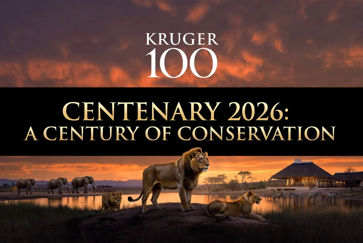 Kruger National Park 100th Anniversary 2026: Full guide to centenary events and safari deals.