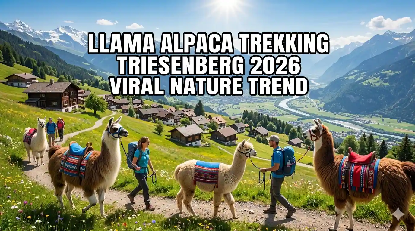 Llama and Alpaca Trekking in Triesenberg: The Most Viral Nature Trend for 2026