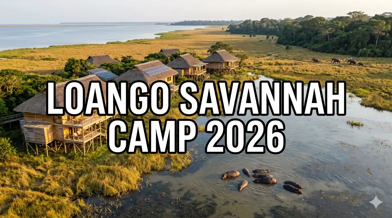 Loango Savannah Camp 2026: Iguela Lagoon Eco-Lodge Guide