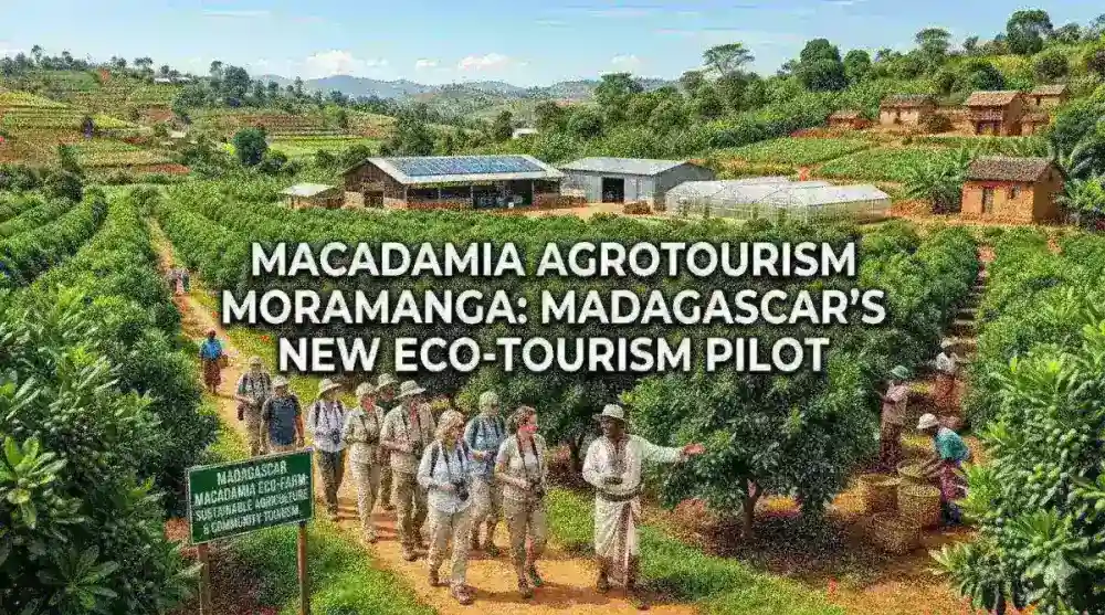 Macadamia Agrotourism Moramanga: Madagascar's Eco-Tourism Pilot