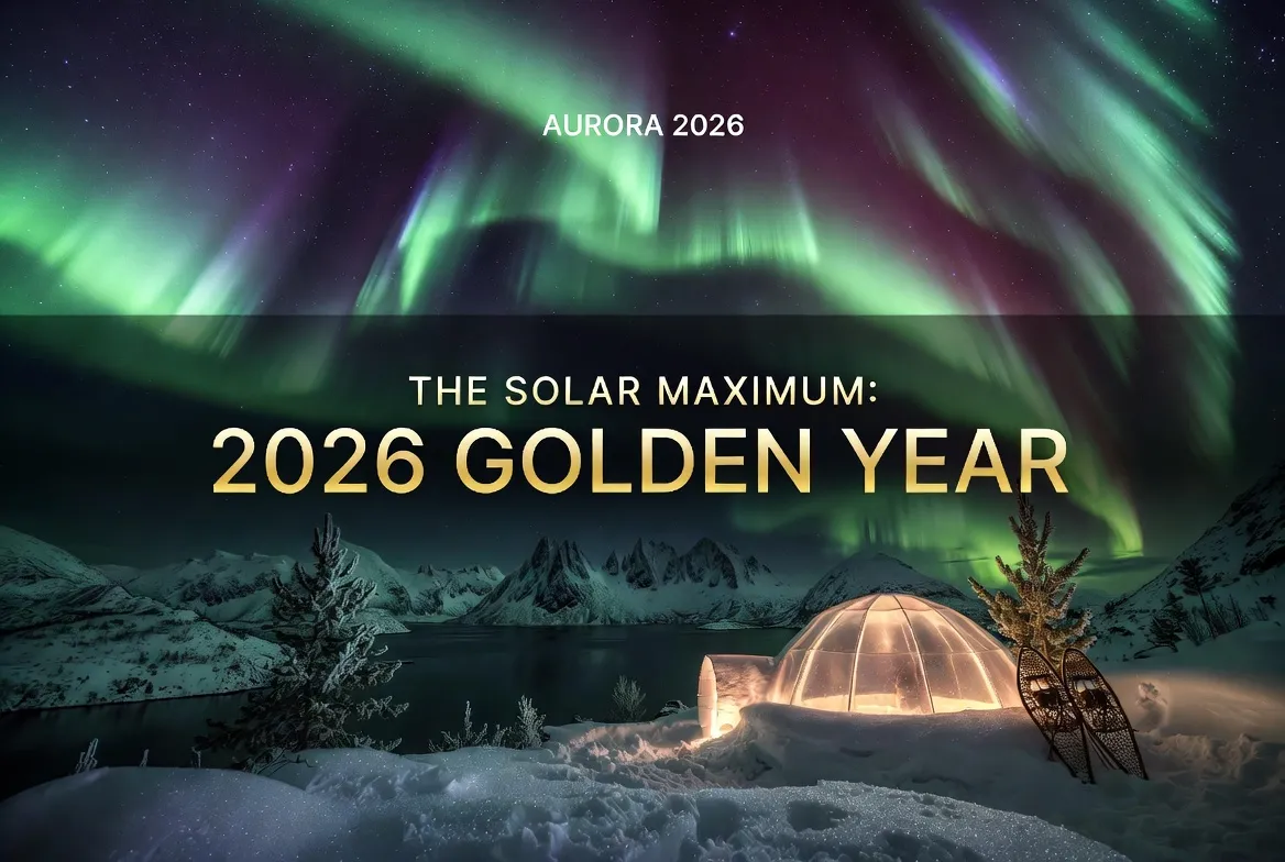 Pet Nest Lab - Northern Lights (Aurora Borealis): Witnessing the Magical Winter Dance in 2026.