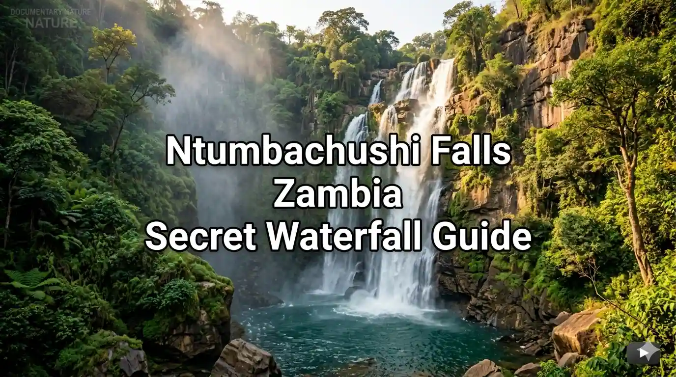 Ntumbachushi Falls Zambia Hidden Waterfall Travel Guide 2026