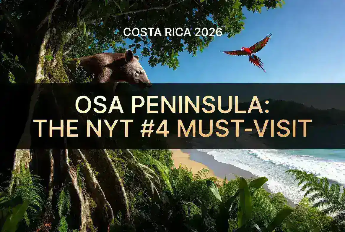 Osa Peninsula 2026: A complete guide to the NYT’s top-ranked rainforest escape.