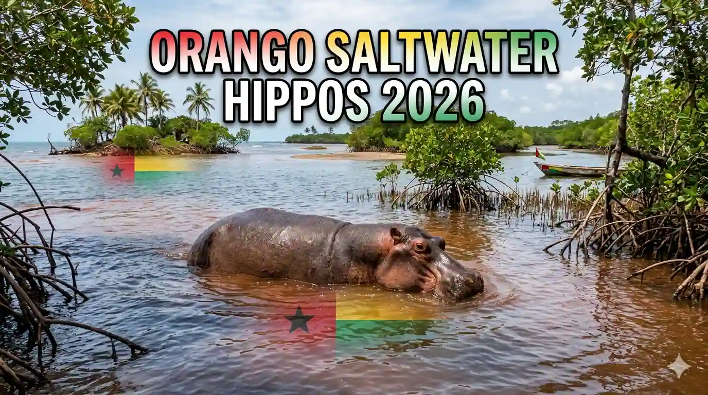Saltwater Hippos of Orango 2026: Complete Wildlife Guide