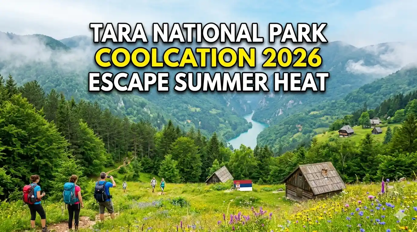Tara National Park Coolcation: Serbia's 2026 Summer Escape