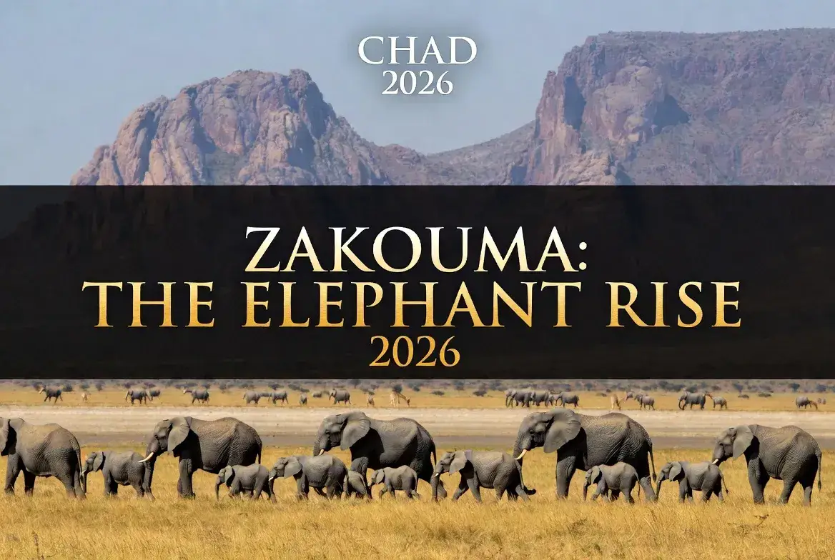 Zakouma Elephant Rise 2026: How the population hit a record high for 2026 safaris.